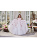 Short Sleeves Tulle Rosette Fiarytale Flower Girl Dress